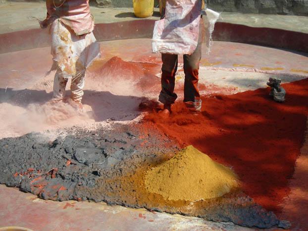 Sanskriti Foundation 2007